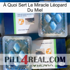 À Quoi Sert Le Miracle Léopard Du Miel viagra5